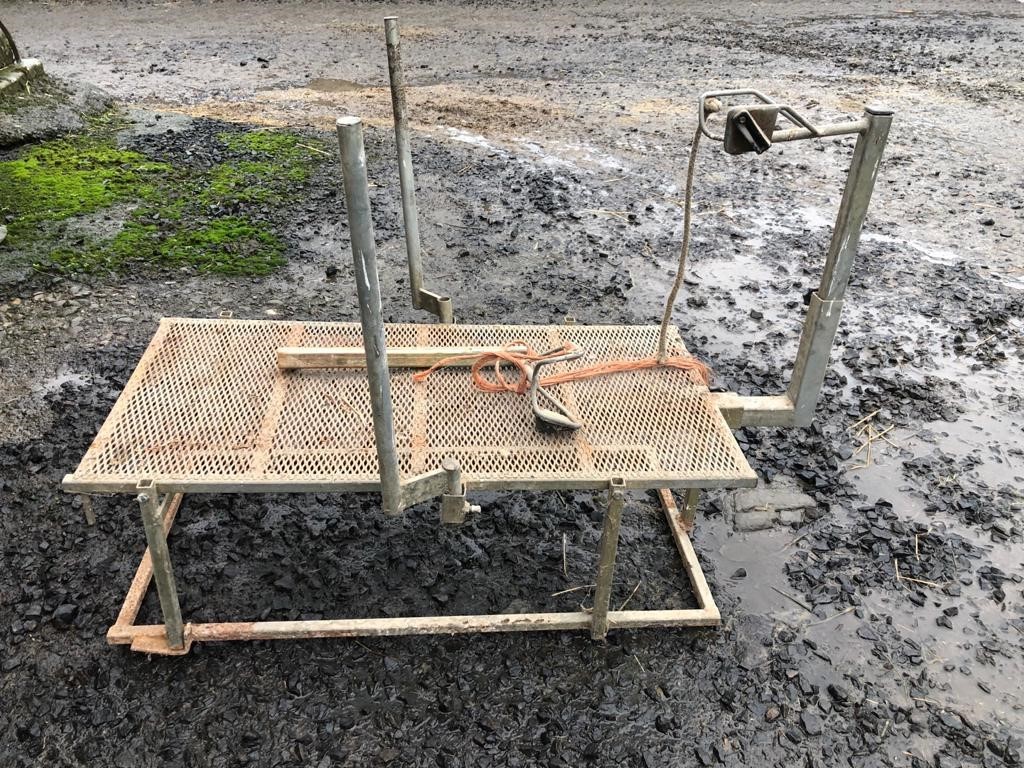 Lot 225 – Sheep Dressing Stand – Area: Hawick SOLD | Border Livestock ...