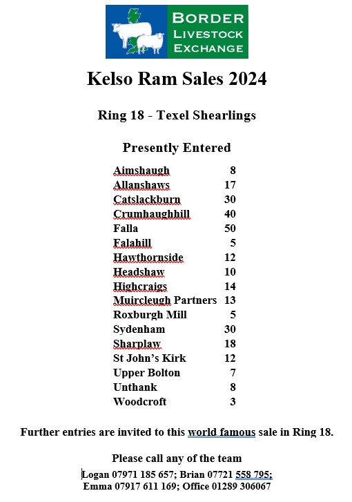 Kelso Ram Sales 2024 Border Livestock Exchange