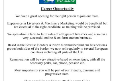 Career Opportunity